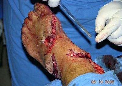 charonboat_dot_com_shark_attack_1.jpg