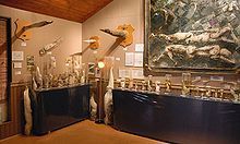 220px-Husavik_Phallusmuseum.jpg