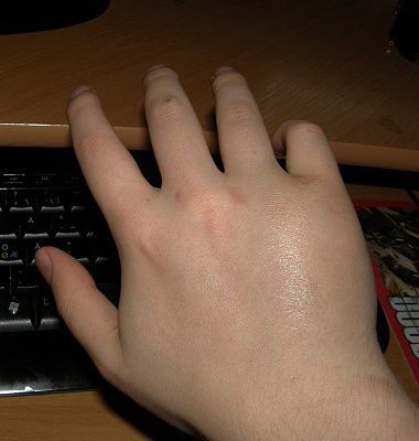 day1.jpg