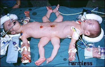 babe_51.jpg