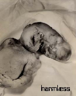 baby12.jpg