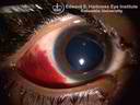 eye9.jpg