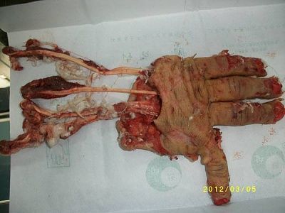 210313mza7amxvs2stpaxx.jpg.thumb.jpg