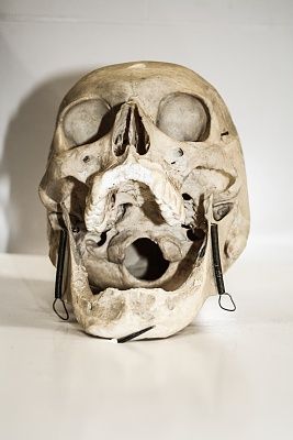 scha-cc-88del-20-281-20von-2013-29.jpg