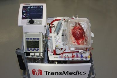 heart-20in-20a-20box.jpg