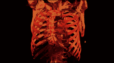 tumblr_lo8yqtIV3z1qcmrkno1_400.gif