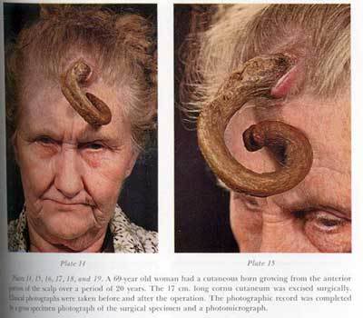 Horny%20People%2001.jpg