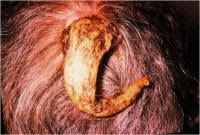 Horny%20People%2008.jpg