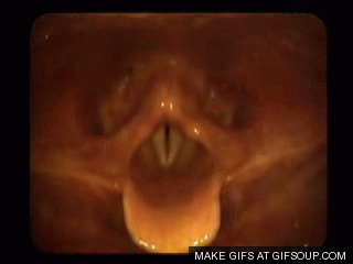 tumblr_mib02dvCEG1r35t8uo1_400.gif