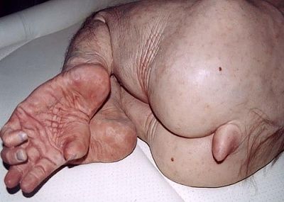 vestigial-20tail-2010.jpg