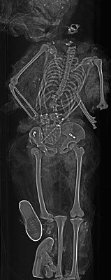 remains.jpg