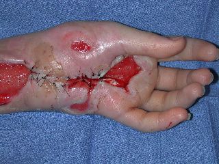 Picture6.jpg