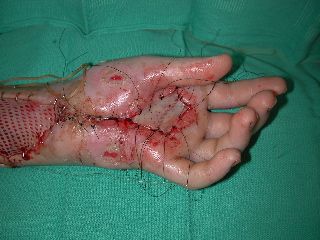 Picture8.jpg