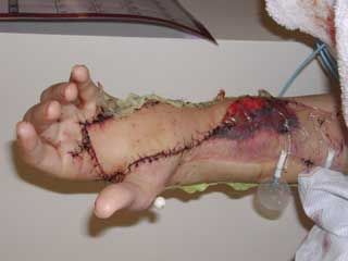 Picture13.jpg