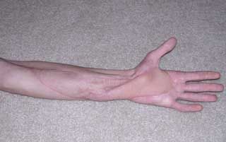 Picture14.jpg