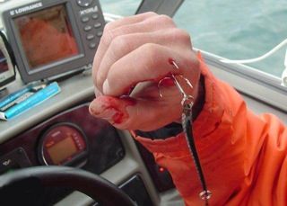 fish2.jpg