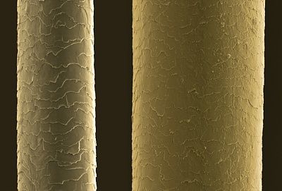 human-20hair.jpg