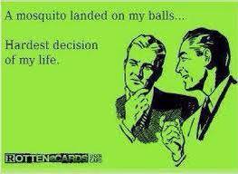 mosquito.jpg