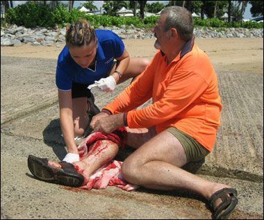 shark2_380_615413a.jpg