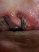 20130906_015337.jpg
