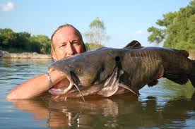 noodling.jpg