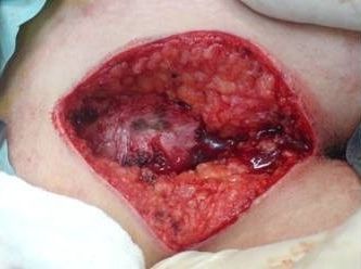 Name:  b2.jpg
Views: 7377
Size:  49.3 KB