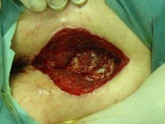 Name:  b7.jpg
Views: 3246
Size:  36.0 KB