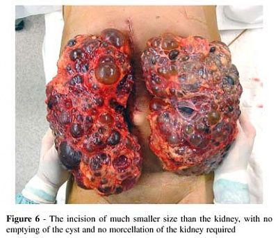 a07fig06.jpg