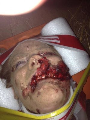 face-20first-20through-20a-20barbwire-20fence.jpg