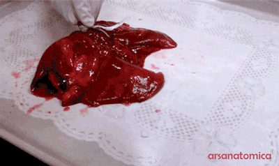 tumblr_mw8zrhxdQ51qga4pio1_400.gif