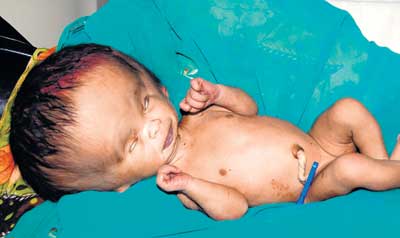 Name:  AlienBaby.jpg
Views: 3516
Size:  11.8 KB