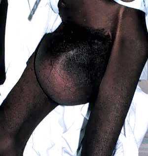 Name:  pic-dis-pp3.jpg
Views: 5308
Size:  14.6 KB