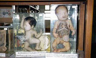Name:  museum-of-death-thailand-2.jpg
Views: 42112
Size:  21.2 KB