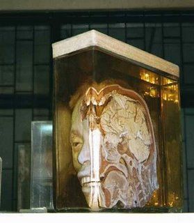 Name:  museum-of-death-thailand-3.jpg
Views: 35345
Size:  20.4 KB