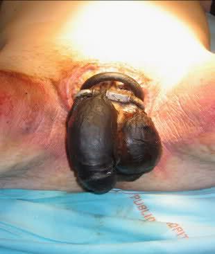 Name:  zu4dhe.jpg
Views: 2422
Size:  15.7 KB