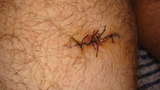 Name:  15zjudu_th-3.jpg
Views: 121
Size:  2.7 KB