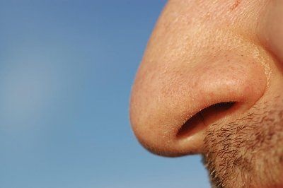 nose.jpg