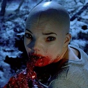 dren2.jpg