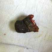 122%20%20Gangrene%20%28c%29.jpg