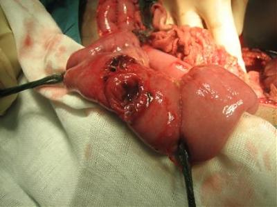 Name:  phpThumb_generated_thumbnailjpg.jpg
Views: 885
Size:  19.7 KB