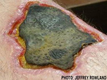 krokodil.jpg