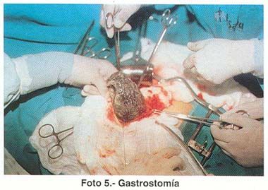 a08fig05g.jpg