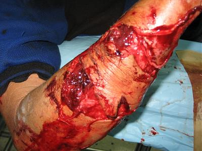 phpThumb_generated_thumbnailjpg%20%283%29.jpg