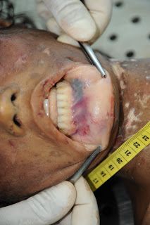 Name:  Picture%20073.jpg
Views: 306
Size:  21.3 KB