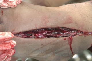 Picture%20101.jpg