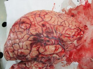 Name:  024.JPG
Views: 354
Size:  35.4 KB