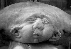 Name:  2294139616_e9932928b0_m.jpg
Views: 343
Size:  9.8 KB
