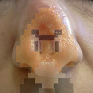 gombah nose.jpg