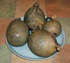 1%20Haggis%2001.jpeg