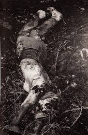 slemmer1.jpg